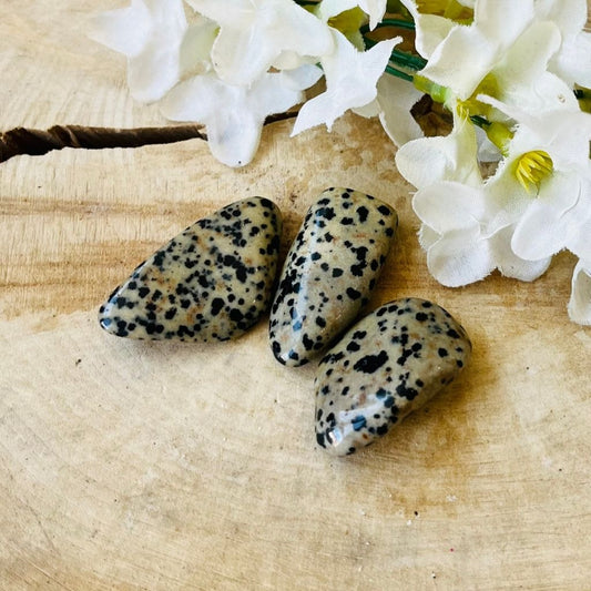 Dalmation jasper gemstone